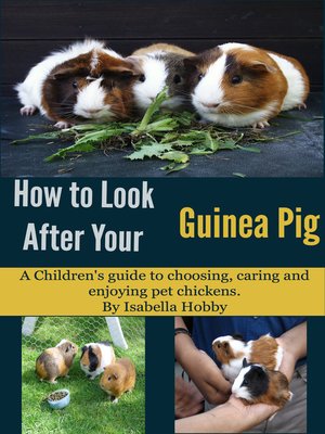cover image of How to Look After Your Guinea Pig